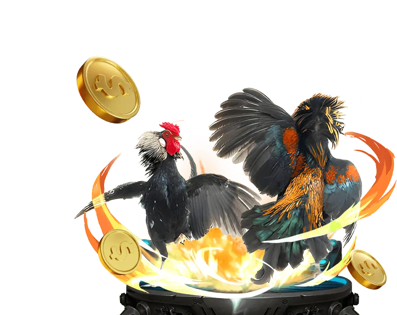 Banner quảng cáo các chương trình khuyến mãi thể thao và đá gà